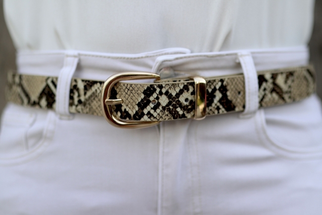 Riem snakee