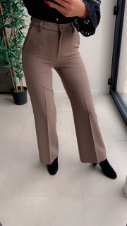 classic pants taupe