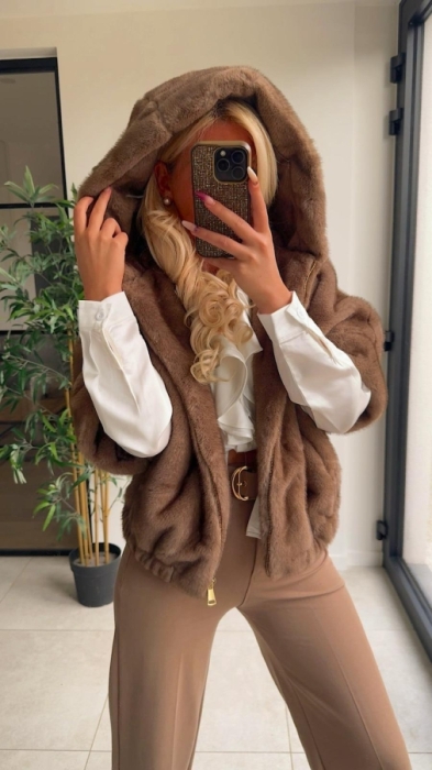 Gilet Teddy taupe capuche 